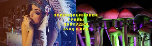 apvp Арсеньев