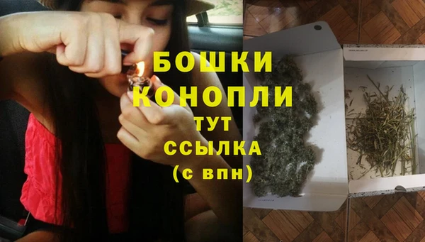 СК Балахна