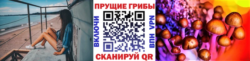где найти   Вольск  Галлюциногенные грибы мицелий 